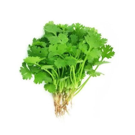 Coriander (Hara Dhania)