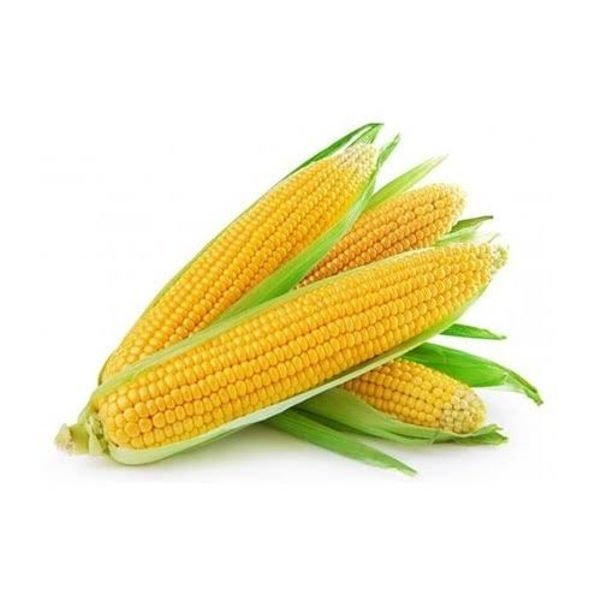 Corn (Bhutta)